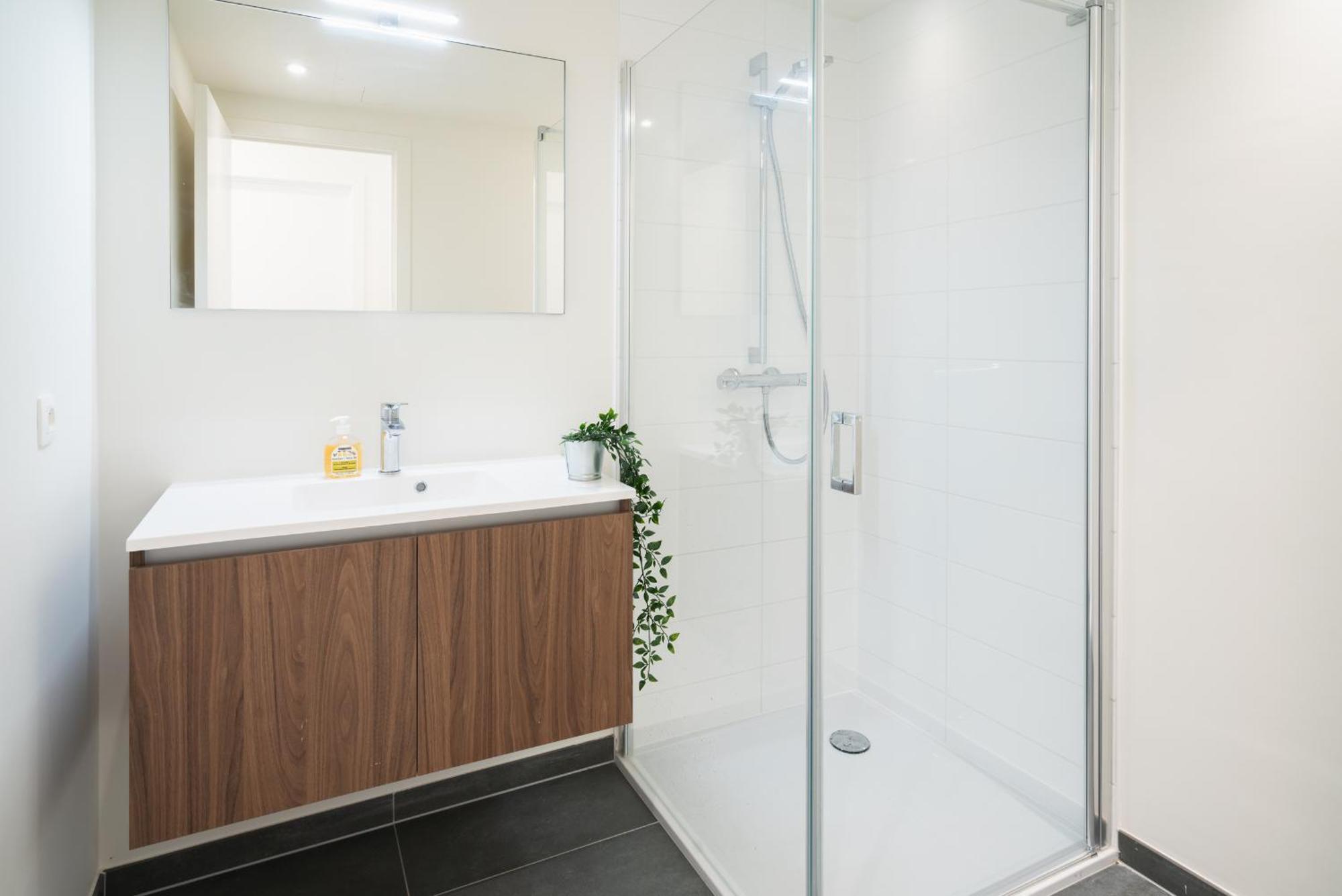 Opera Square Apartments In Antwerp Centre Екстер'єр фото